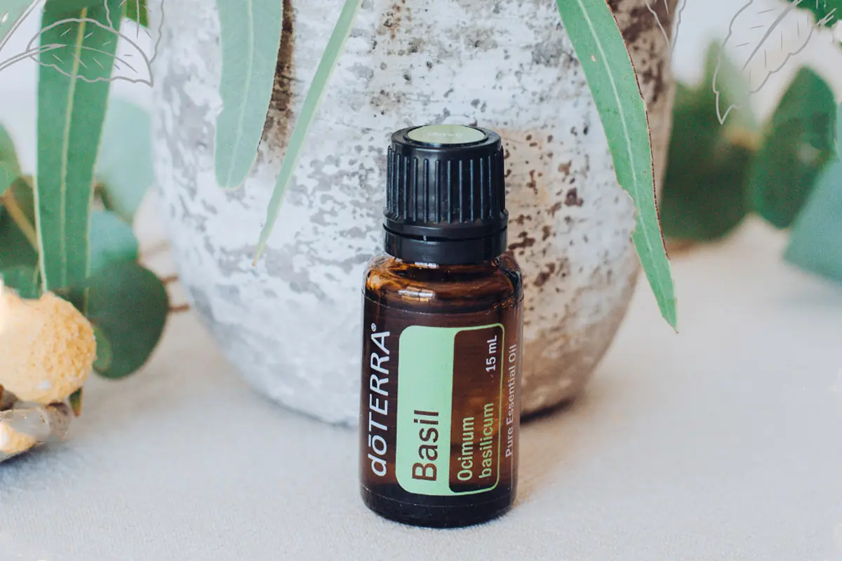 bottle of doterra basil essential oil with pretty green background
