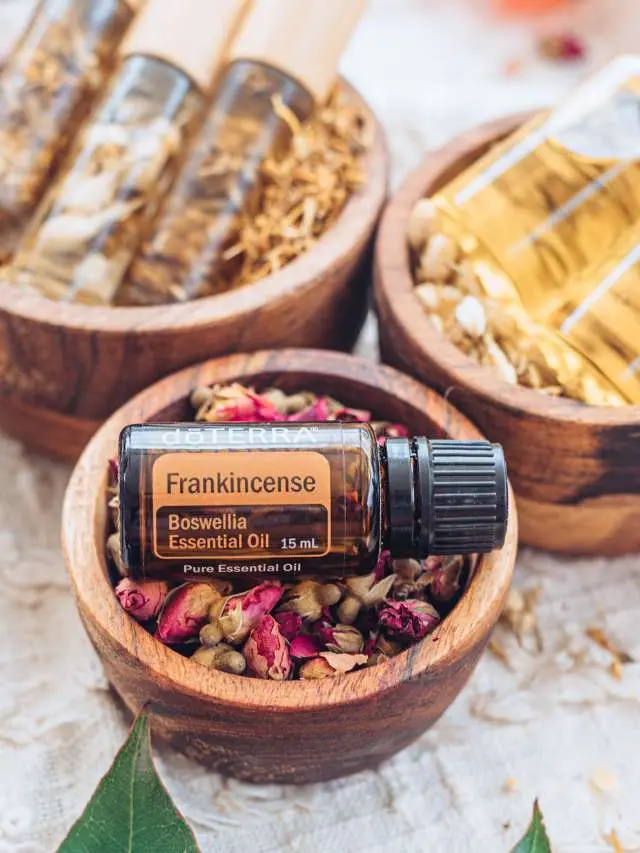 Benefits and 30 Uses for Frankincense Essential Oil Story