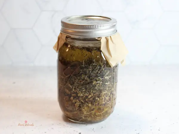 photo of making the infused herbal oil for lymph drainage