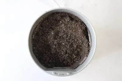 coffee grinder with oatmeal and coffee in it for use in making coffee oatmeal body scrub