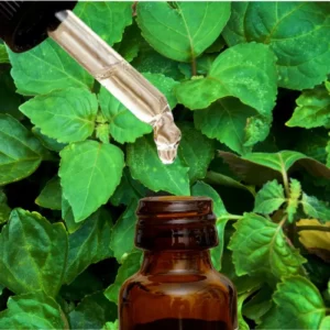 photo of patchouli leaves with dropper of patchouli essential oil