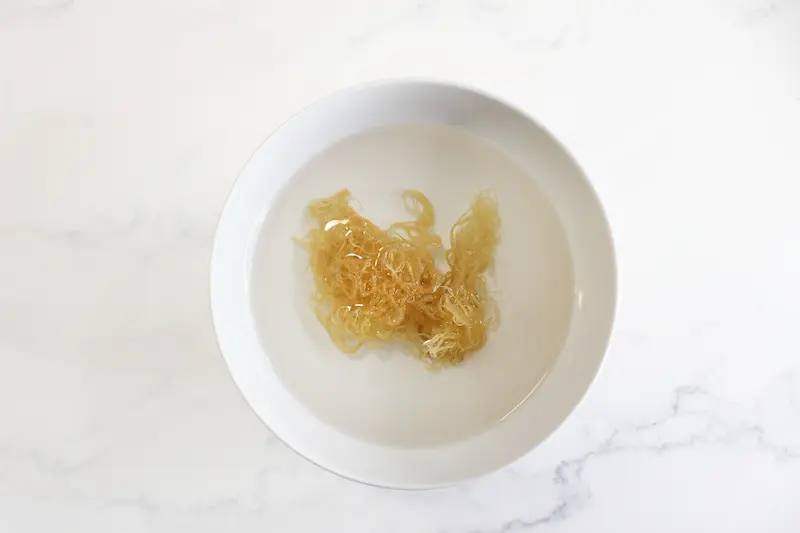 view of dried sea moss soaking in a bowl of water for making sea moss gel