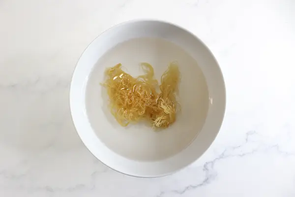 bowl of sea moss in water to make sea moss soap