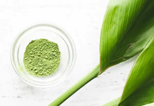 dried matcha powder in a bowl and green tea leaves