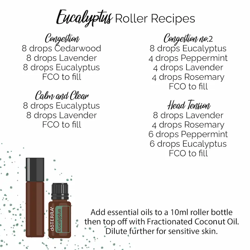 a list of essential oil roller recipes featuring eucalyptus oil