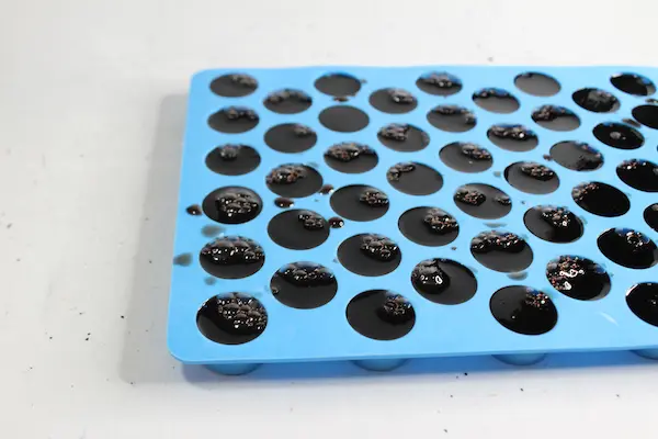 a silicone mold filled with elderberry gummies mixture