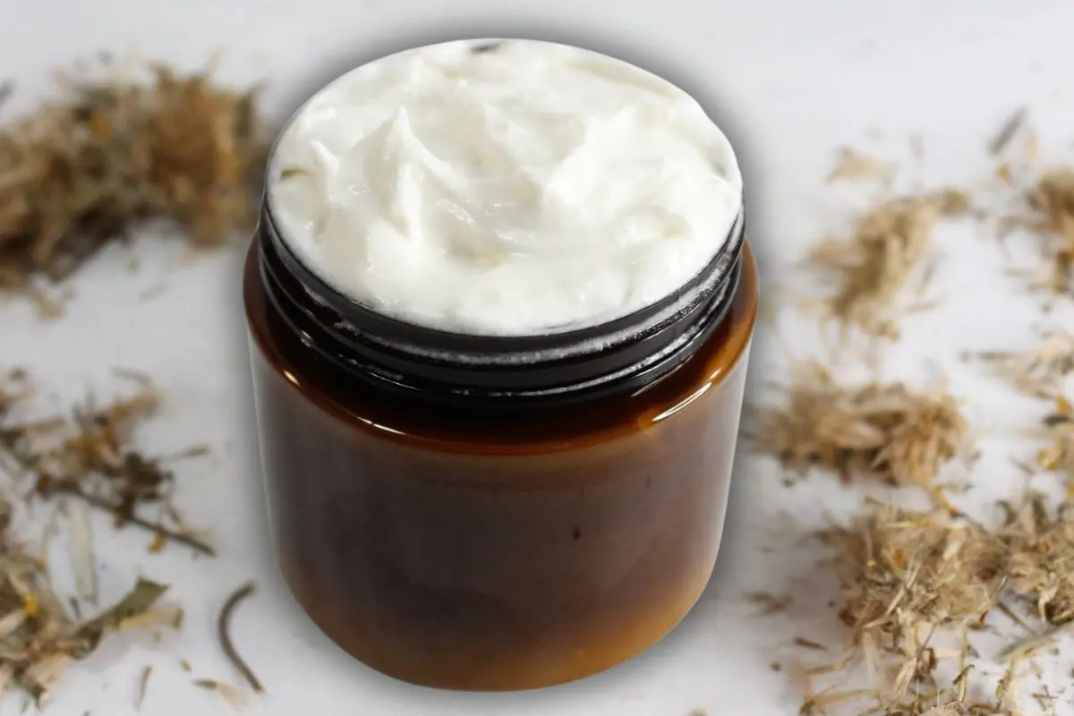 jar of homemade arnica cream with dried arnica flowers