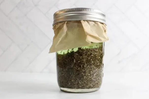 DIY Oregano Salve Recipe 16 jar of infused oregano oil