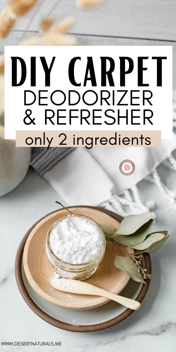 DIY Homemade Carpet Powder Cleaner 17 jar of homemade carpet powder cleaner