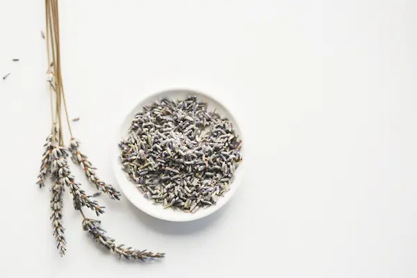 Calming Bedtime Tea Recipes For Sleep 16 bowl of dried lavender to use for tea and a sprig of lavender